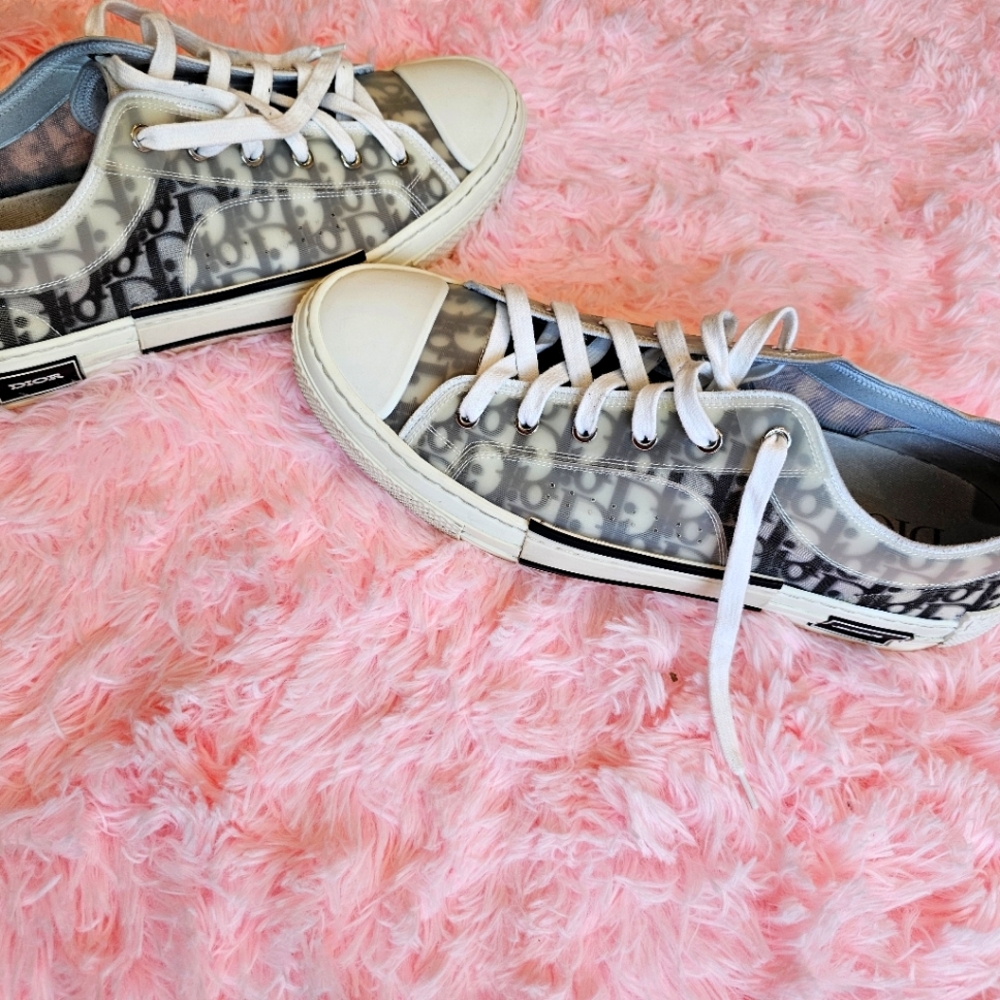 Dior B23 low-top sneaker